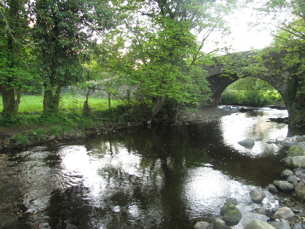 Riverside Lodge Carlingford Dış mekan fotoğraf